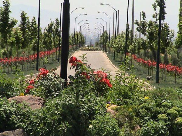 تصرف عدوانی چیست؟ راههای جلوگیری از تصرف عدوانی در خرید و فروش زمین در کردان