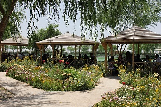 فضاهای عمومی در باغشهر آرین