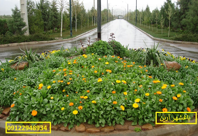 امکانات باغشهر آرین؛  تجسم زندگی لوکس و طبیعی در نزدیکی تهران
